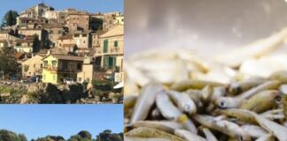 Sagra del Pesce 2026 ad Anguillara Sabazia con Paolo Belli, chef e degustazioni: il programma