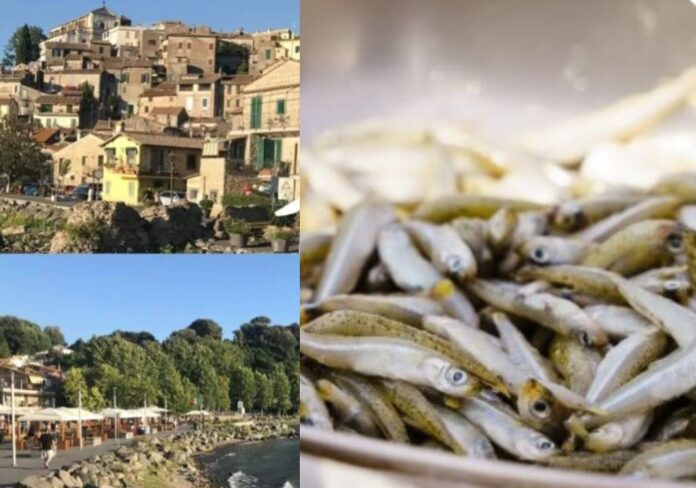 Sagra del Pesce 2026 ad Anguillara Sabazia con Paolo Belli, chef e degustazioni: il programma