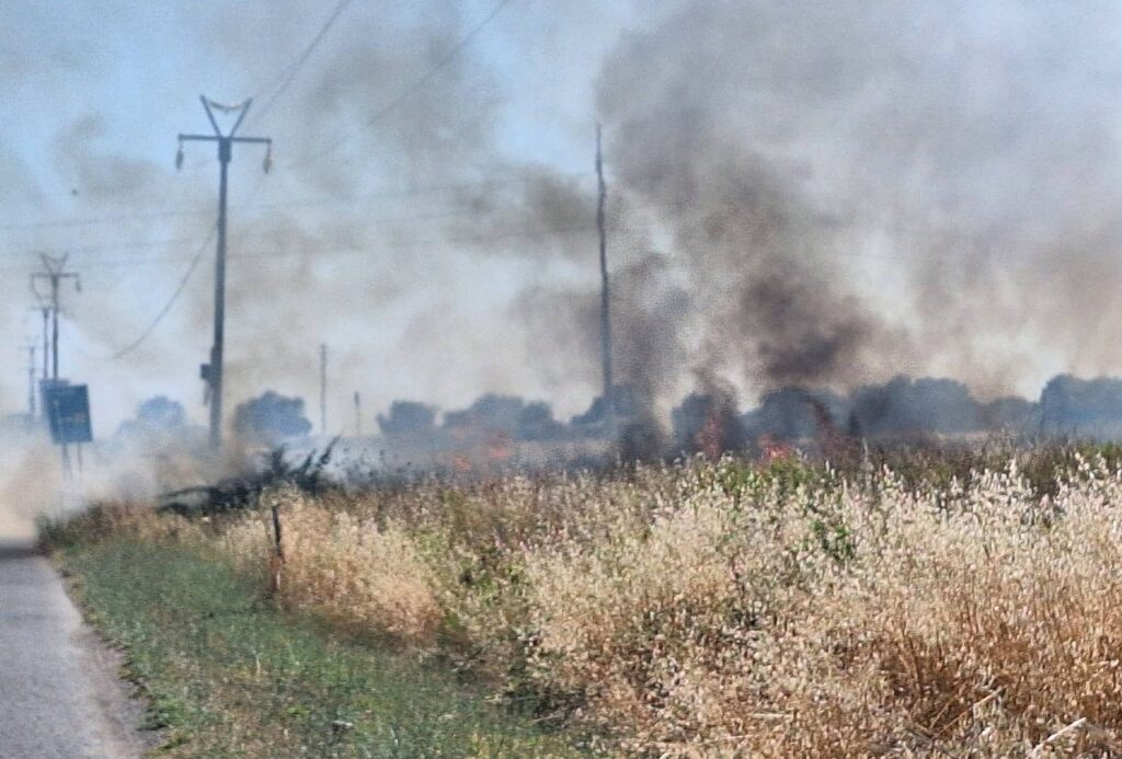 Incendio a Cerveteri in località Furbara