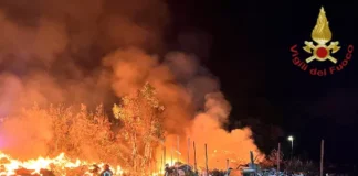 Incendio di Torvaianica, i dati sull'aria registrano valori di diossina oltre la soglia