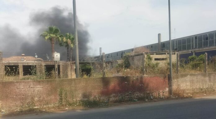 lavinio incendio via goldoni Una colonna di fumo nero ha avvolto la zona di Lavinio Stazione, dove un'ex fabbrica dismessa è tornata a bruciare per la terza volta in pochi giorni. Residenti costretti a tenere le finestre chiuse