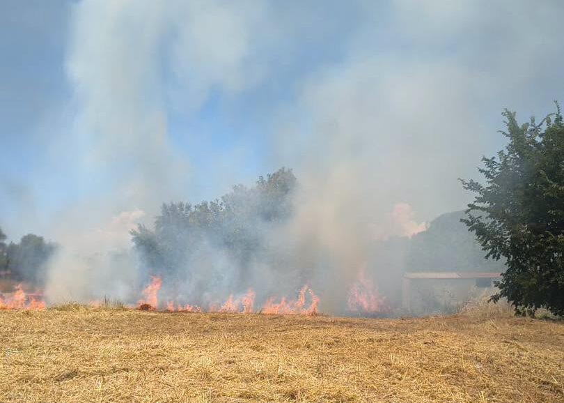 L'ombra del dolo dietro la striscia di incendi a Monterotondo: quattro roghi in pochi giorni 1