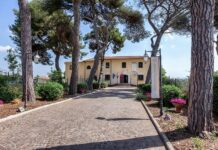 Estate pometina al museo lavinium