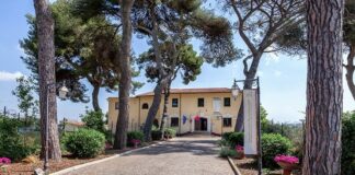 Estate pometina al museo lavinium