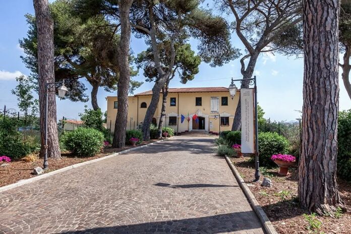 Estate pometina al museo lavinium