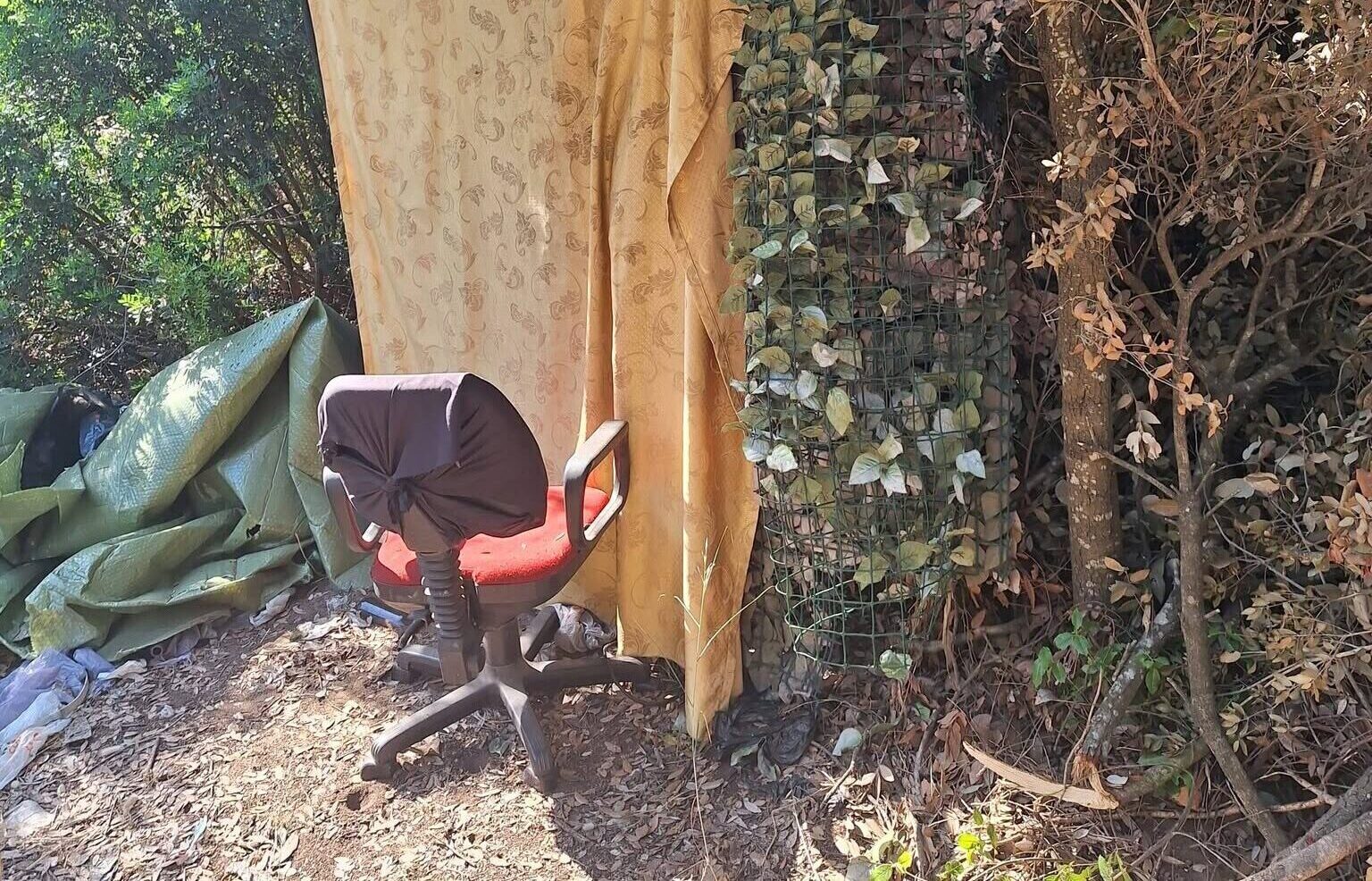 Il rogo che ha minacciato le abitazioni riporta l'attenzione sull'incuria cronica che devasta la pineta di Castel Fusano 