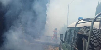 Incendio a Cecchina nella zona di Poggio Ameno: intervento di Vigili del Fuoco e Protezione Civile. Abitazioni salve, ma campi e vigneto danneggiati