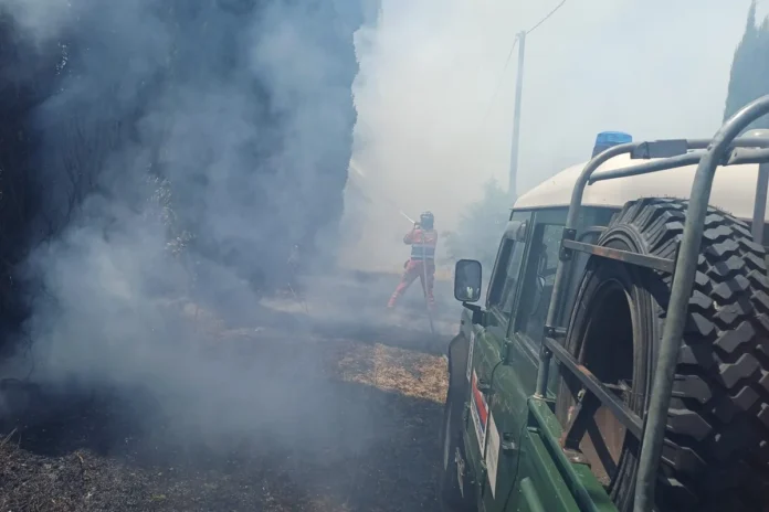 protezione civile genzano Incendio a Cecchina nella zona di Poggio Ameno: intervento di Vigili del Fuoco e Protezione Civile. Abitazioni salve, ma campi e vigneto danneggiati