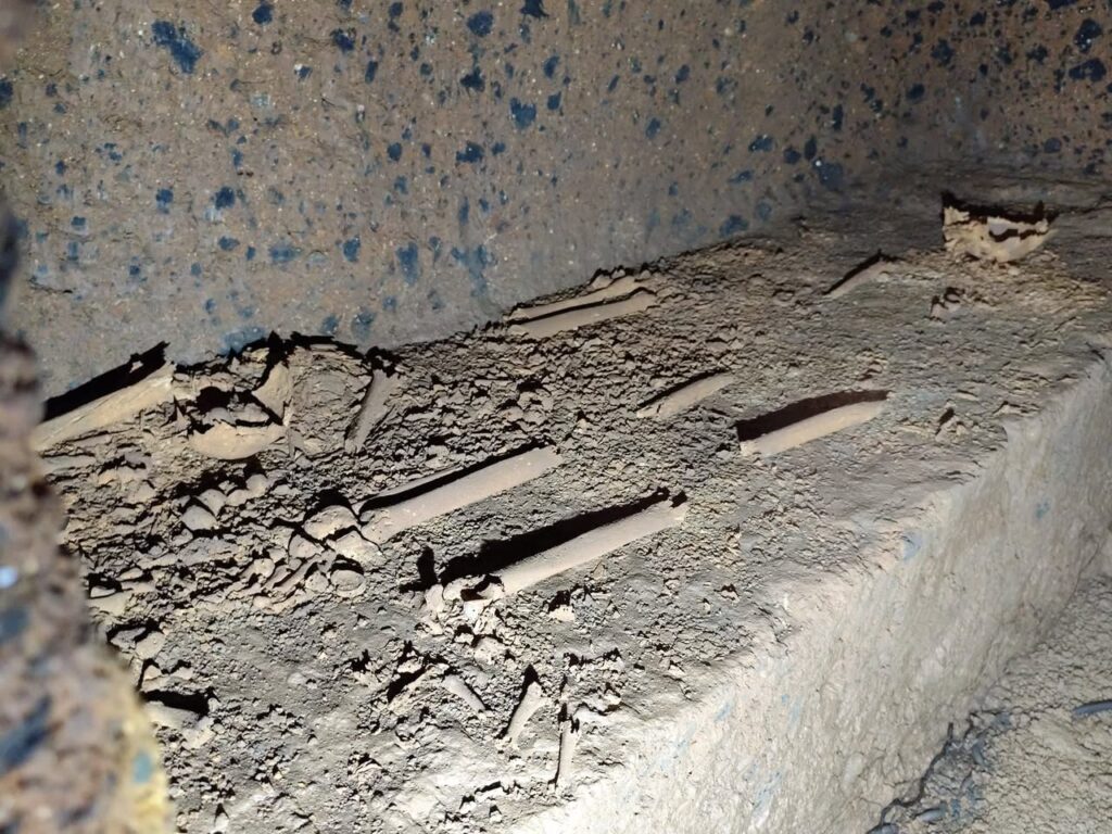 Scoperta eccezionale a Barbarano Romano: aperta una tomba etrusca intatta del VII secolo a.C. (VIDEO) 3