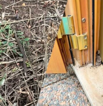 La vipera è stata trovata da un residente del centro "Le Rughe". Sul posto sono intervenuti i Carabinieri Forestali di Monterotondo e l'etologo Andrea Lunerti