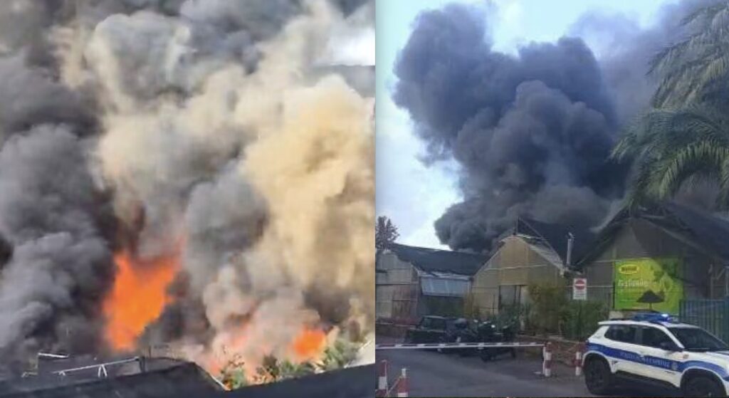 Maxi incendio al Mandrione: nube di fumo nero su Roma (VIDEO) 2
