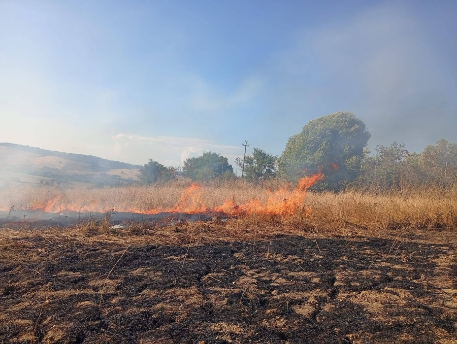 Vasto incendio devasta Allumiere: fiamme nella macchia mediterranea minacciano anche le aziende agricole (FOTO) 1 Vasto incendio devasta Allumiere: fiamme nella macchia mediterranea minacciano anche le aziende agricole (FOTO) 1