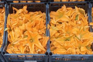 Sagre a Roma e nel Lazio dal 10 al 12 luglio: fiore di zucca, gnocchitti, gavinella, fallacciano 1