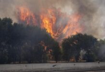 Francia e Spagna in ginocchio per gli incendi, Macron schiera l’esercito