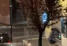 Furto in gioielleria, assalto lampo in meno di due minuti: banda di cinque uomini in fuga a Genzano