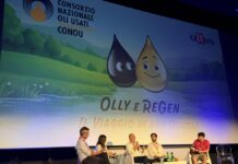 Giffoni, Conou presenta il corto animato ‘Olly e Regen’ per raccontare ai giovani l’economia circolare