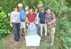 Gruppo Cap, 2.500 alborelle cresciute nel depuratore di Canegrate tornano nei fiumi lombardi