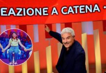 I maggiolini Reazione a Catena