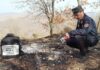 Incendi, Carabinieri Forestali: “98% causati dall’uomo, in primi 6 mesi 3800 ettari bruciati”