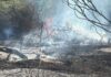 Incendio tra Morlupo e Rignano Flaminio: in fiamme sterpaglie, intervento dei soccorsi