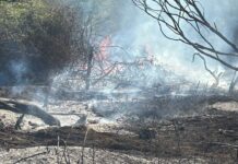 Incendio tra Morlupo e Rignano Flaminio: in fiamme sterpaglie, intervento dei soccorsi