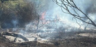 Incendio tra Morlupo e Rignano Flaminio: in fiamme sterpaglie, intervento dei soccorsi