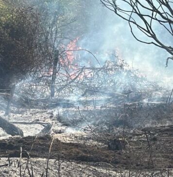 Incendio tra Morlupo e Rignano Flaminio: in fiamme sterpaglie, intervento dei soccorsi