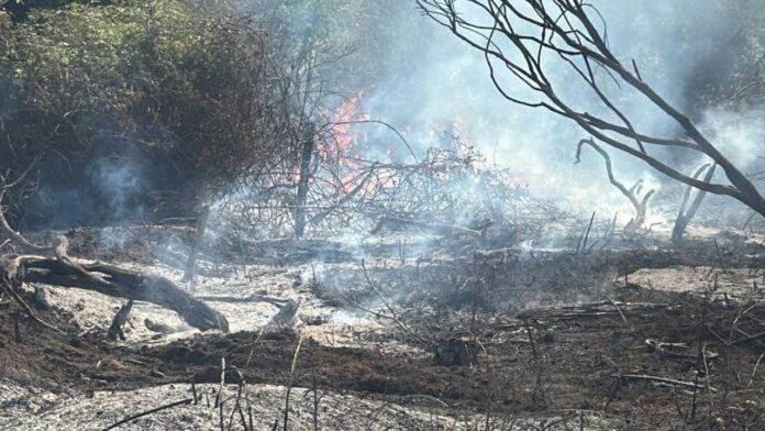 Incendio tra Morlupo e Rignano Flaminio: in fiamme sterpaglie, intervento dei soccorsi