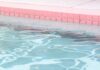 Milano Marittima, bimba annegata in piscina hotel: padre indagato per abbandono di minore