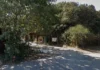 Passeggiata serale tra lecci e praterie per la Riserva di Macchiagrande a Fregene, con una visita guidata gratuita organizzata per il trentennale