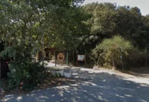 Passeggiata serale tra lecci e praterie per la Riserva di Macchiagrande a Fregene, con una visita guidata gratuita organizzata per il trentennale
