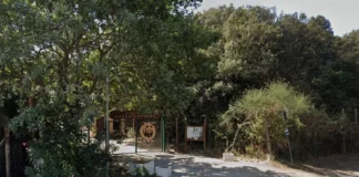 Passeggiata serale tra lecci e praterie per la Riserva di Macchiagrande a Fregene, con una visita guidata gratuita organizzata per il trentennale