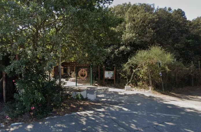 Oasi-macchiagrande Passeggiata serale tra lecci e praterie per la Riserva di Macchiagrande a Fregene, con una visita guidata gratuita organizzata per il trentennale