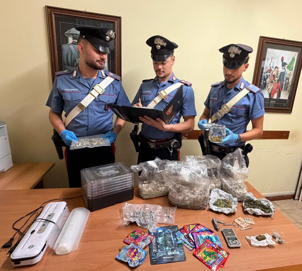 Fuma una canna alla fermata dell'autobus: fermato dai carabinieri, in casa aveva una serra per funghi allucinogeni 1