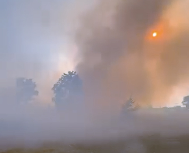 Inferno di fuoco a Roma Est: rogo di sterpaglie e alberi a ridosso dei binari. Treni sospesi da ore (FOTO) 1