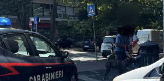 Attimi di tensione in piazzale della Stazione del Lido. Durante un intervento per sedare un violento diverbio, il cane di uno dei contendenti si è scagliato contro un carabiniere ferendolo alla gamba. Il proprietario è stato denunciato