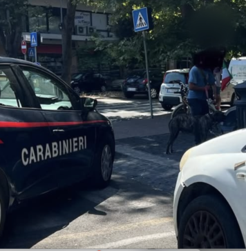 Attimi di tensione in piazzale della Stazione del Lido. Durante un intervento per sedare un violento diverbio, il cane di uno dei contendenti si è scagliato contro un carabiniere ferendolo alla gamba. Il proprietario è stato denunciato