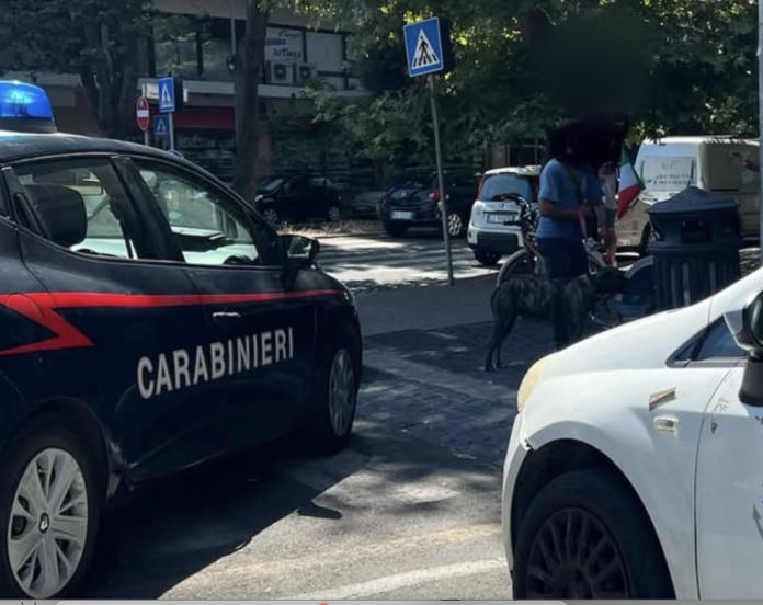 Attimi di tensione in piazzale della Stazione del Lido. Durante un intervento per sedare un violento diverbio, il cane di uno dei contendenti si è scagliato contro un carabiniere ferendolo alla gamba. Il proprietario è stato denunciato
