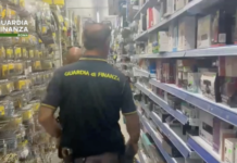 Vasta operazione dei baschi verdi sul litorale sud tra Torvaianica, Anzio e Ostia: scoperti lavoratori in nero, merci pericolose e una struttura extralberghiera fuorilegge