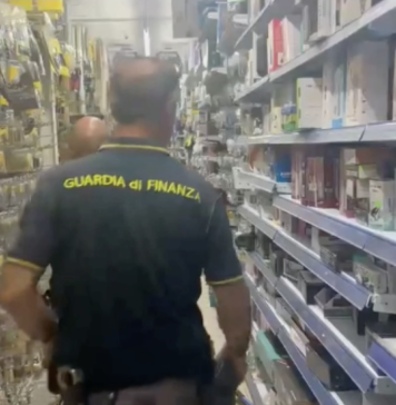 Vasta operazione dei baschi verdi sul litorale sud tra Torvaianica, Anzio e Ostia: scoperti lavoratori in nero, merci pericolose e una struttura extralberghiera fuorilegge