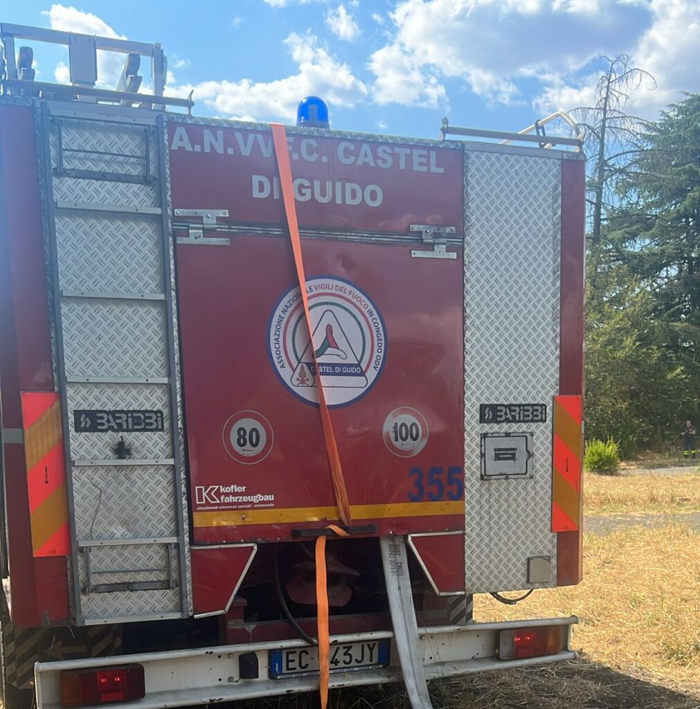 Incendio al Parco del Pineto, fiamme e colonna di fumo in zona Pineta Sacchetti 1 Incendio al Parco del Pineto, fiamme e colonna di fumo in zona Pineta Sacchetti 1