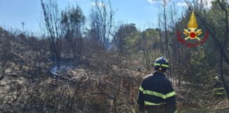 Vigili del fuoco al lavoro per uno degli incendi a Roma