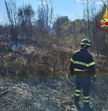 Vigili del fuoco al lavoro per uno degli incendi a Roma