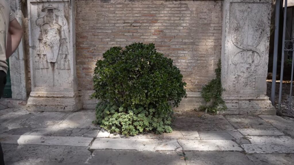 Ostia Antica, una botola nascosta nella Basilica di Sant’Aurea svela i resti paleocristiani (VIDEO) 1