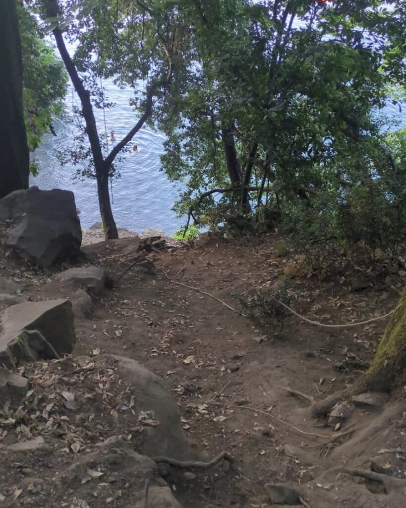Incidente al Lago di Albano: scivola prima di fare il bagno e rimane ferita, salvata dai Vigili del Fuoco 1 Incidente al Lago di Albano: scivola prima di fare il bagno e rimane ferita, salvata dai Vigili del Fuoco 1