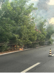 Incendio sulle siepi divisorie non potate della Cristoforo Colombo manda il traffico in tilt 1