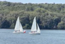 La salute dei laghi del Lazio secondo Legambiente: situazione critica a Sabaudia, Bracciano e Vico sugli scudi