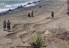 Ruspe dei vigili del fuoco pronte a rimuovere anche le macerie dello Shilling a Ostia (VIDEO)
