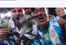 Nove schermi all’aperto a Roma per vedere gratis la finalissima dei mondiali di calcio
