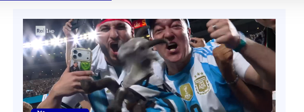 argentina spagna